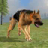 Wild Dog Survival Simulator icon