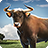 Bull Simulator icon