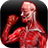 Muscular Anatomy icon