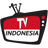 Indonesia Free TV Channels APK Download