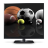 All Sports TV version 1.0