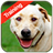 Dog Training APK Download