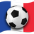 Jalvasco Euro 2016 icon