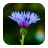 Blur Image icon