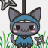 Ninja Cat icon