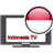 Indonesia TV 1.4