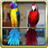 Talking Parrot Couple Free icon