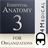 Essential Anatomy for Organizations version 1.1.3