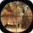 Deer Calls icon