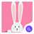 Cute Rabbit Theme APK Download