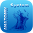 System Anatomy icon