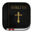 Bibliya icon