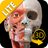 Muscular System Lite - Upper Limb - 3D Atlas of Anatomy icon