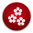 Red cherry APK Download