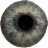 Eye Diagnosis icon