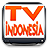 TV Indonesia Channel icon