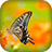 Smart Butterfly LWP icon