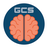Glasgow Coma Scale (GCS) icon