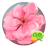 Cherry Blossom GO SMS icon