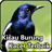 Kicau Burung Kacer Terbaik icon