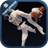 Taekwondo Sparring Skills icon