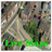 Live.mapa icon