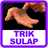 Trik Sulap icon