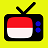 TV Indonesia 6.2