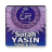 Yasin Tahlil icon