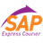 SAP Express icon