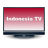 Indonesia TV icon