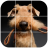 Airedale Terrier Tile Puzzle icon