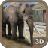 Elephant 3D simulator icon