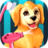 Become a Puppy Groomer 2