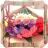 Carnation Jigsaw Puzzles icon