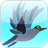 Bird Match icon