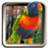 Bird Sliding Puzzle APK Download