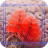 Coral Jigsaw Puzzles icon