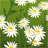 FlowerForestEscape icon