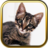 Kitty Cat Puzzle Games  icon