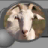 Goat Simulator version 1.1