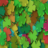 Leaf Puzzle Game icon