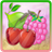 Matching Fruit Games Mania icon
