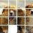 Puppies Sliding Jigsaw icon