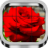 Puzzle: Beautiful Flower icon