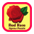 Red Rose Jigsaw Puzzles icon