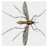 Smash mosquito icon