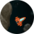 Space Rocks icon