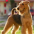 Airedale Terriers Jigsaw Puzzle icon