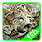 Animals Jigsaw Puzzles icon